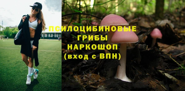 кокс Абаза