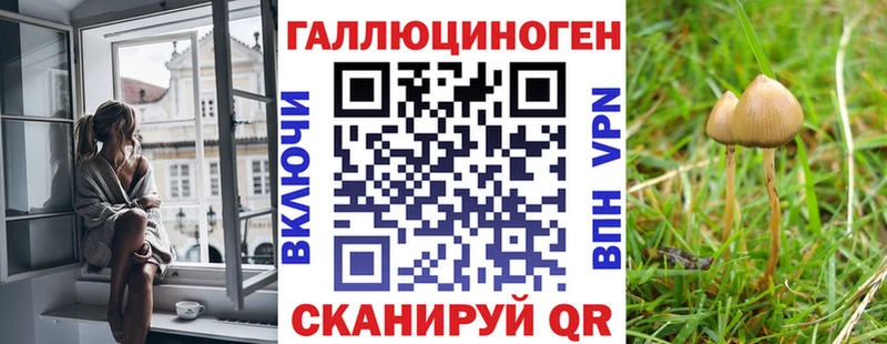 Псилоцибиновые грибы Psilocybine cubensis  Шиханы 